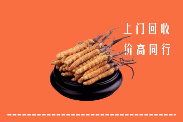 巴彦淖尔市回收散虫草