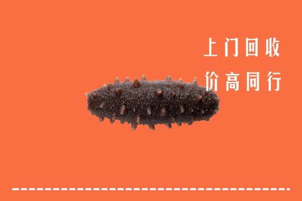 收购行情：巴彦淖尔市回收海参