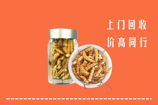 巴彦淖尔市回收冬虫夏草