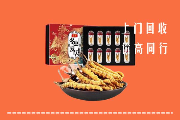 巴彦淖尔市回收虫草